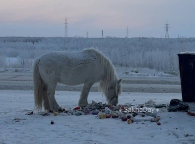 Символ будущего года на помойке в 203-м