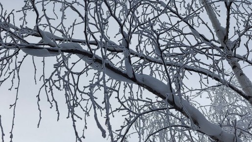 Прогноз погоды в Якутии на 8 декабря