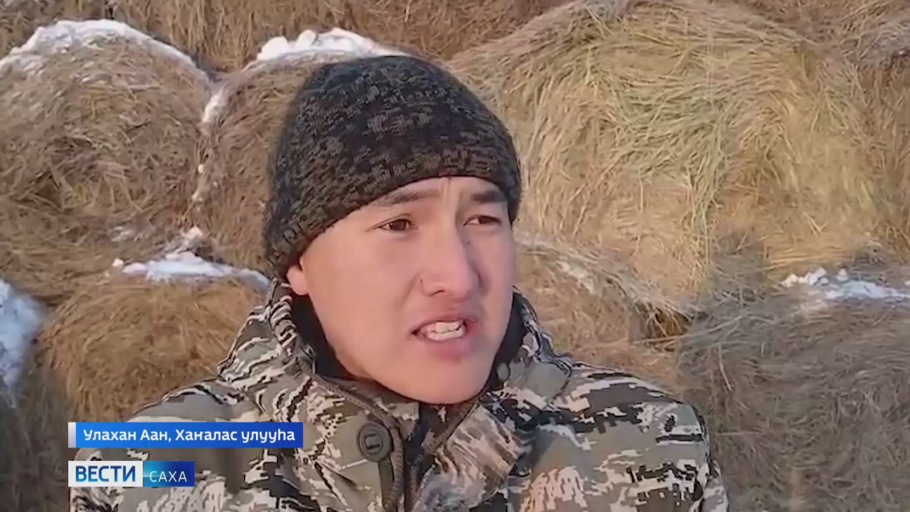 Быйыл рспблкэ рднэн кыстыкка киириигэ былааннаммыт от барыта кэриэтэ оттоммута