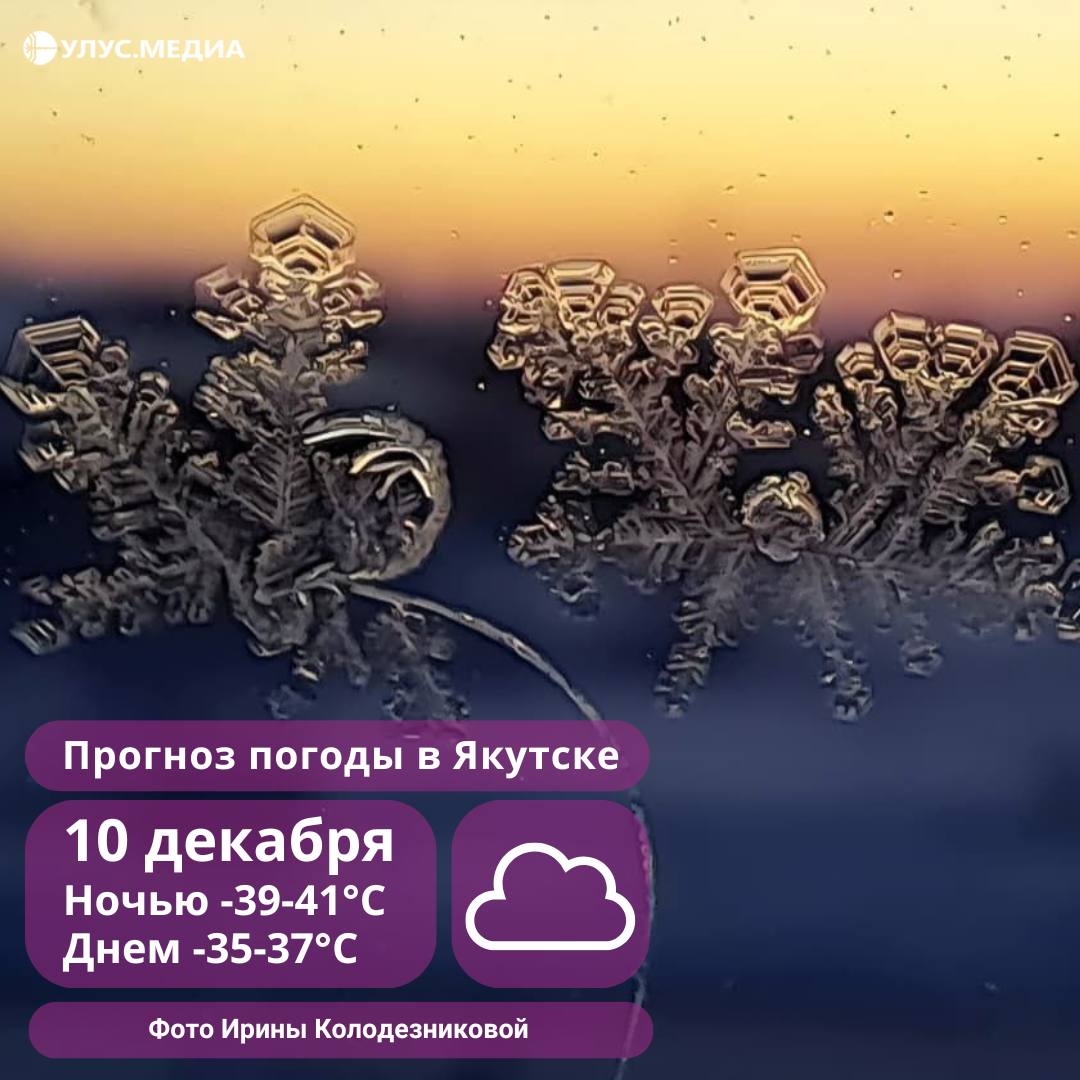 Метели в Нерюнгри, морозные туманы в центре: о погоде в Якутии на 10 декабря