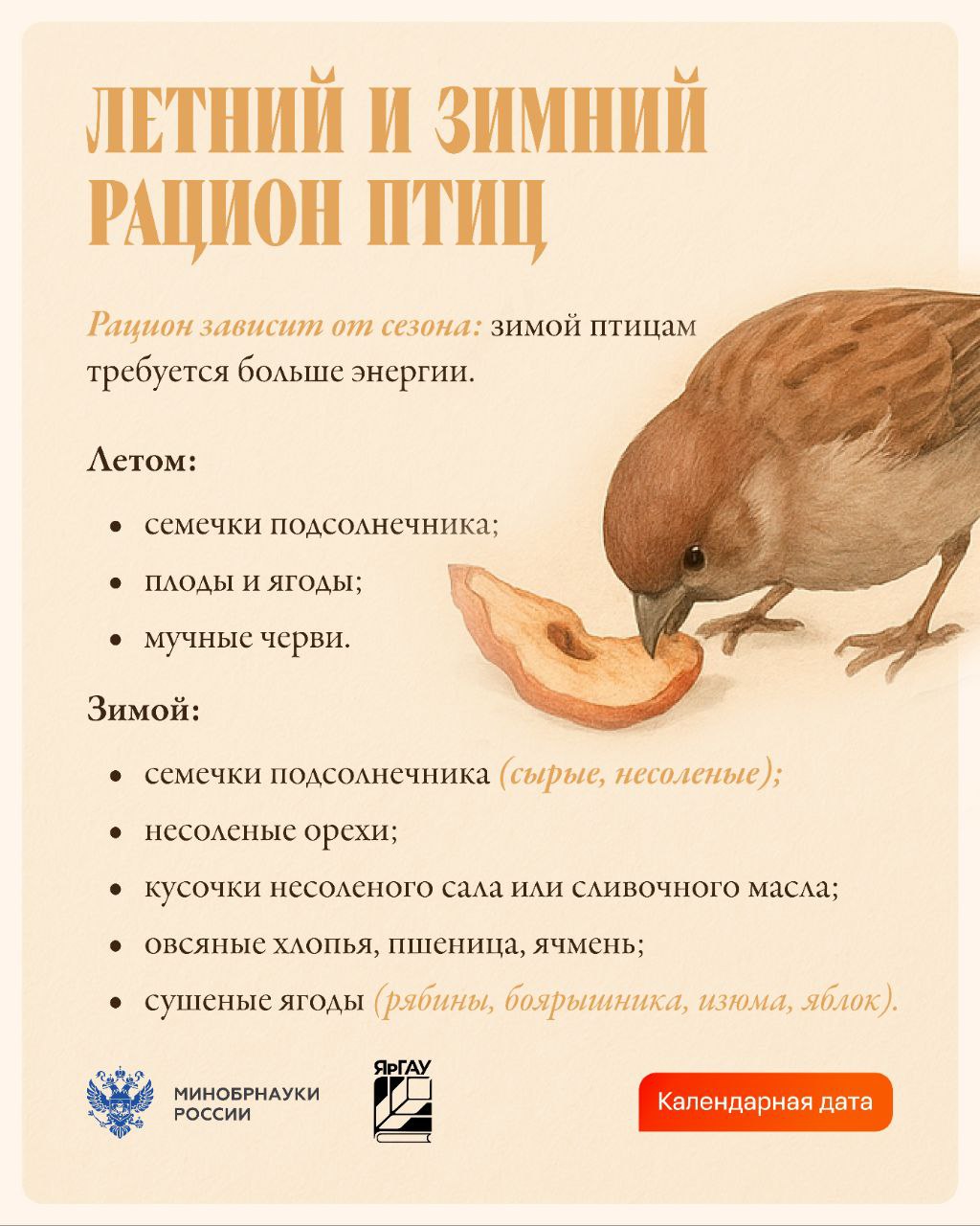 Зимой маленьким обитателям парков и дворов особенно нужна наша поддержка: морозы и нехватка естественного корма усложняют им выживание Зимой маленьким обитателям парков и дворов особенно нужна наша поддержка: морозы и нехватка естественного корма усложняют им выживание