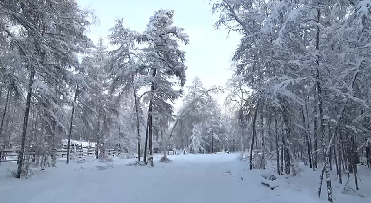 "САА КН" биэриигэ "ПАРЛАМЕНТ ИЛДЬИТЭ"