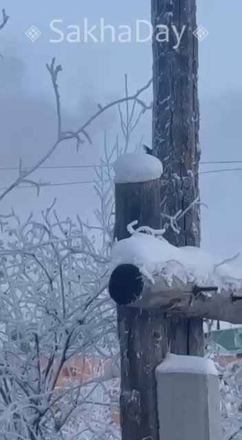 Возле медцентра.. SD Новости Якутии | Сообщить новость | ВК/MAX