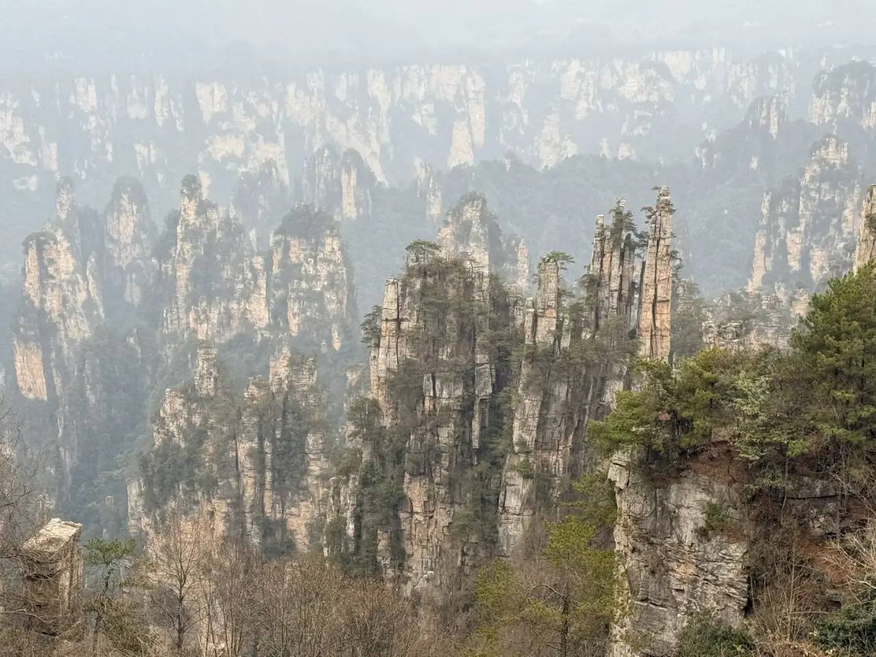 Ленские столбы и Гора Аватар: два чуда природы России и Китая договорились о сотрудничестве Ленские столбы и Гора Аватар: два чуда природы России и Китая договорились о сотрудничестве