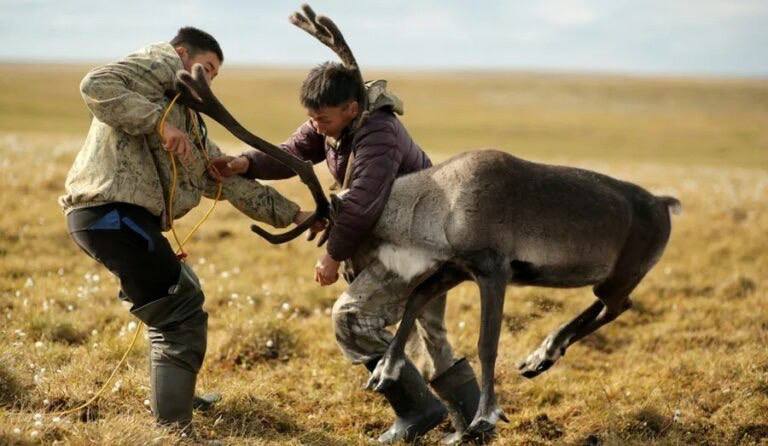 Сегодня, 10 декабря, Анабарский национальный (долгано-эвенкийский) район Республики Саха (Якутия) отмечает знаковую дату — 95 лет со дня своего образования Сегодня, 10 декабря, Анабарский национальный (долгано-эвенкийский) район Республики Саха (Якутия) отмечает знаковую дату — 95 лет со дня своего образования