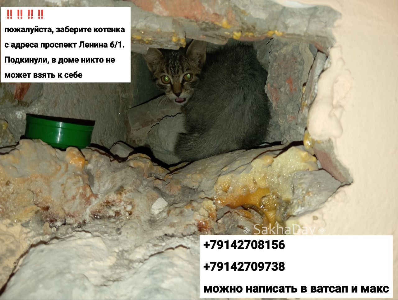 Очень просим помощи третий день ждем, когда кто-то заберет