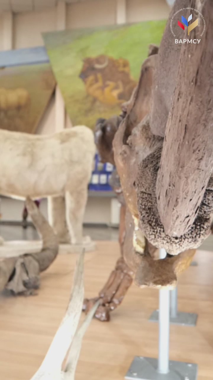 Якутск: наследие, экономика и образование — будущее региона