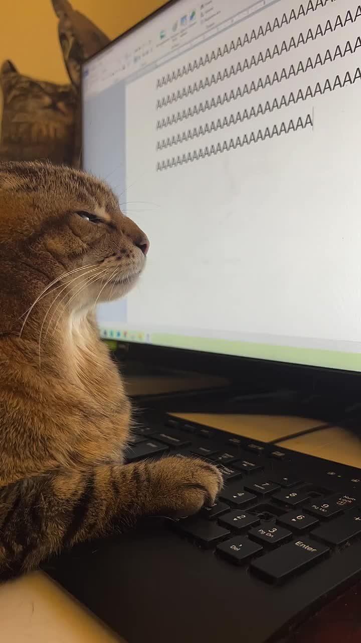 Вот и четверг подкрался незаметно