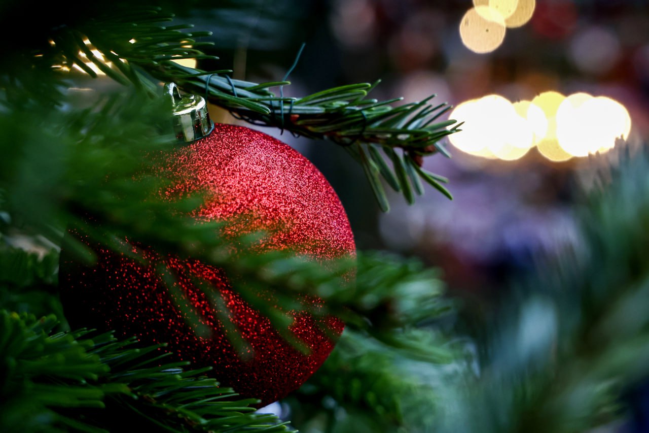 Лишь 27% жителей Дальнего Востока планируют украшать дом к Новому году — результаты опроса