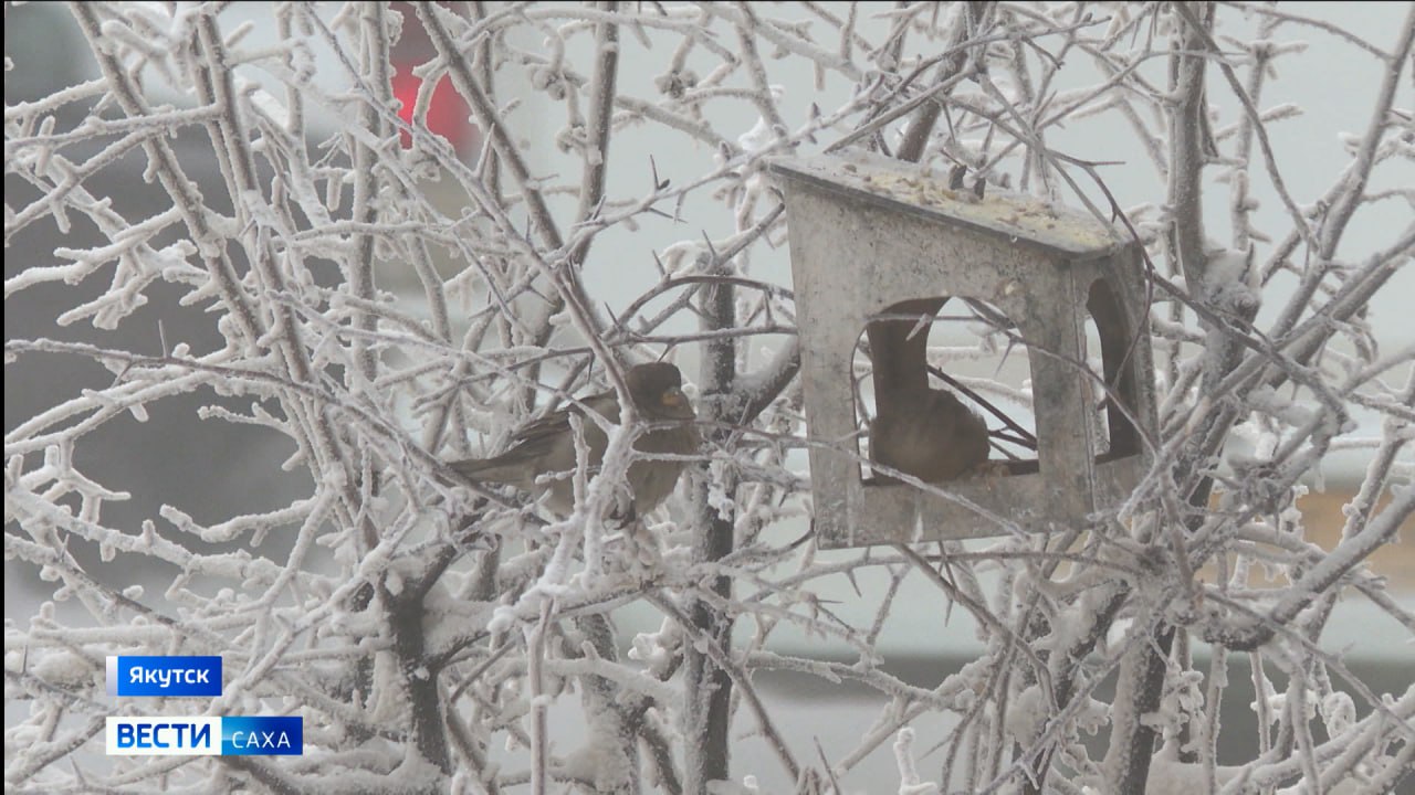 13 декабря. День в истории - даты, события