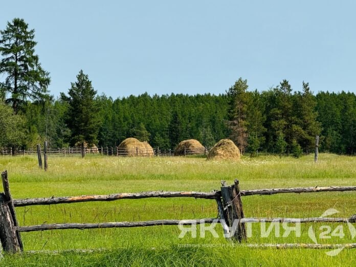 70 новых сельхозобъектов ввели в Якутии в 2025 году