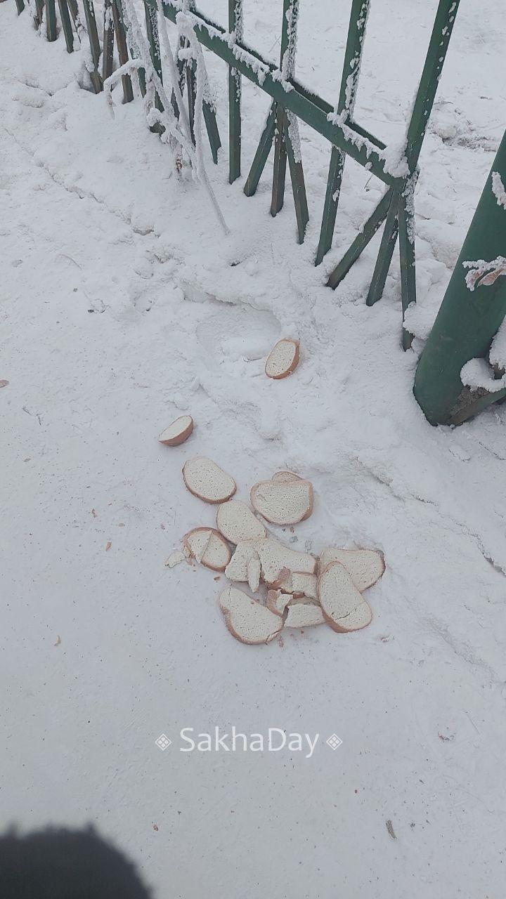 #возмущаются Ну вот как это назвать?