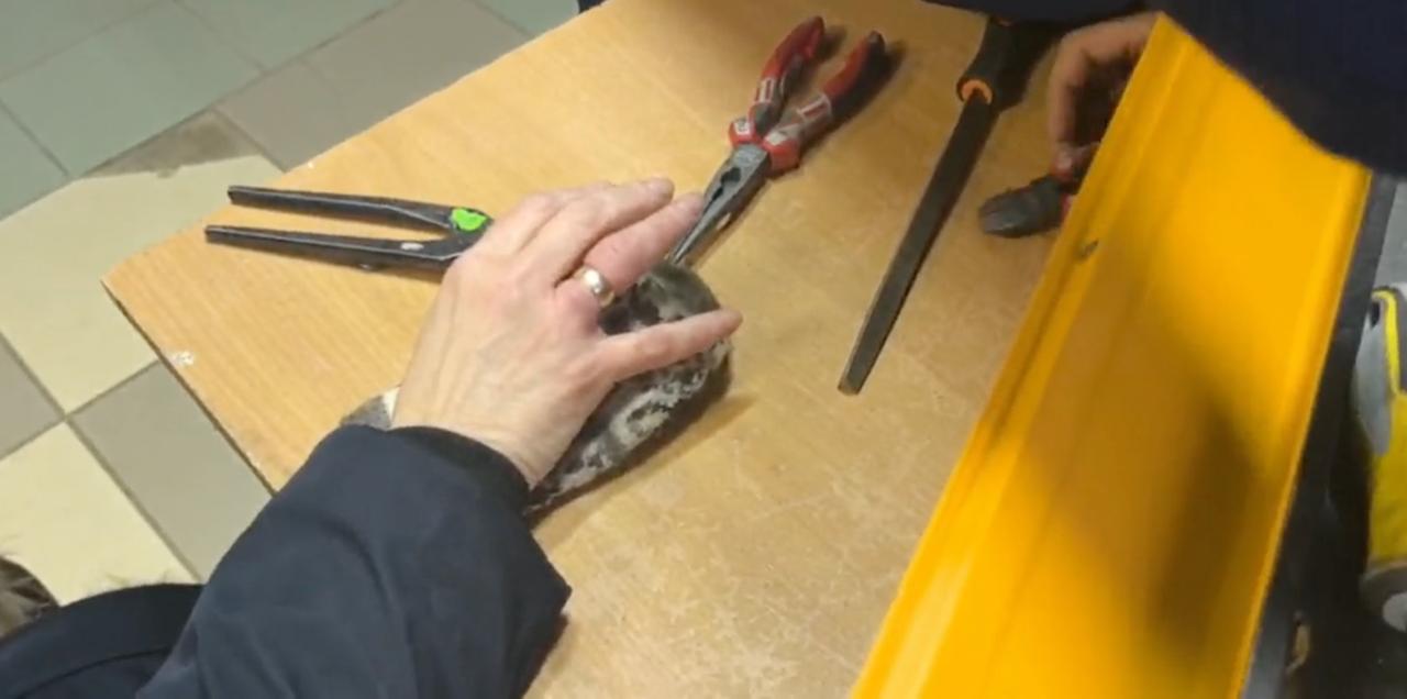 Сняли кольцо и спасли женщине палец