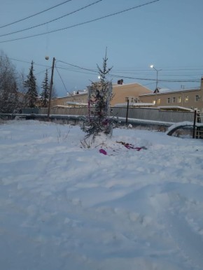 Готическая Ёлка, версия 2.0