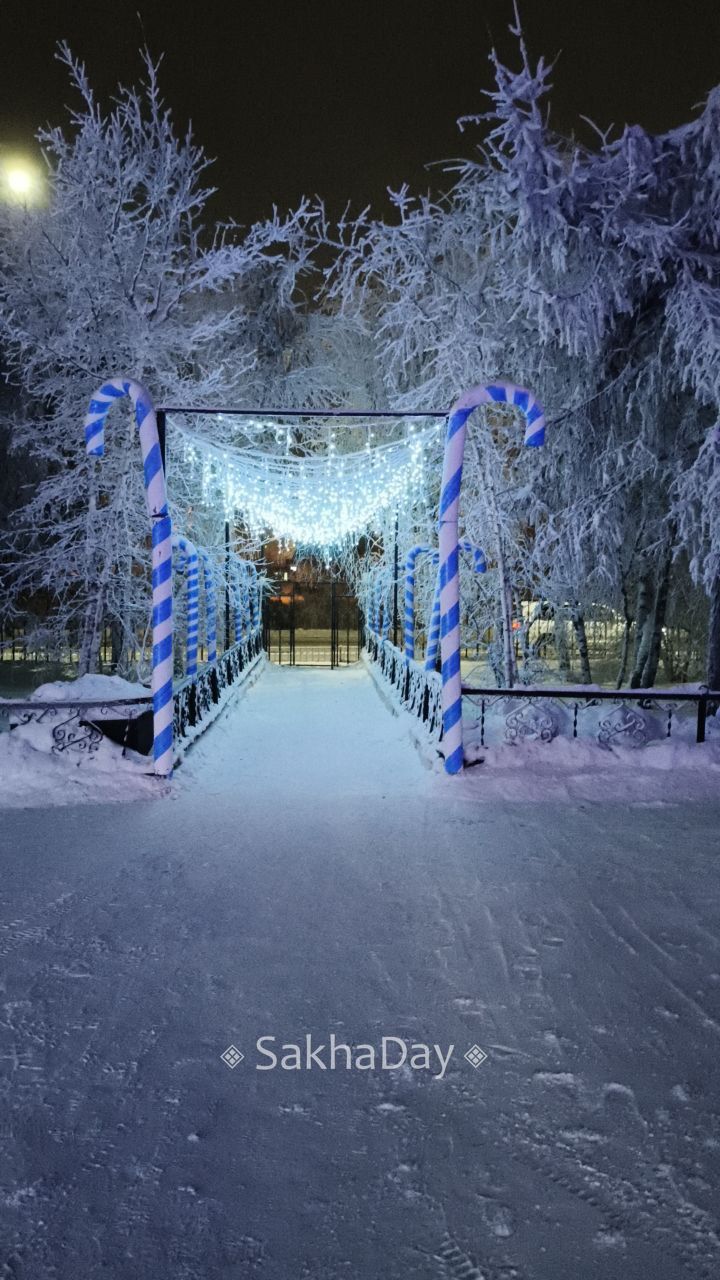 Якутский гормолзавод к Новому году готов Якутский гормолзавод к Новому году готов