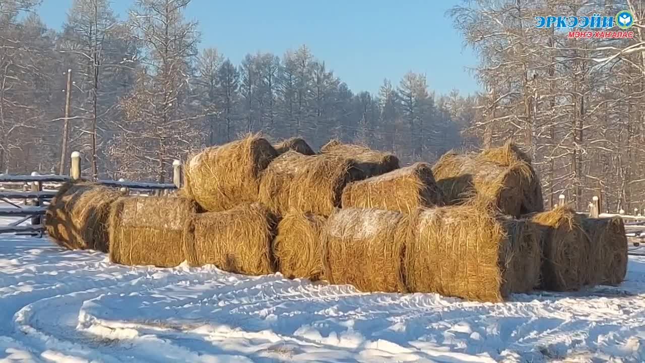 Тыа хааайыстыбатыгар Чыамайыкы нэилиэгэр толору хааччыллыылаах дьоус пиэрмэ лэтин саалаата