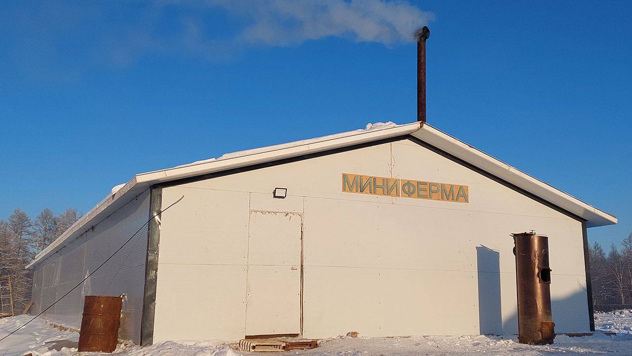 Тыа хааайыстыбатыгар Чыамайыкы нэилиэгэр толору хааччыллыылаах дьоус пиэрмэ лэтин саалаата Тыа хааайыстыбатыгар Чыамайыкы нэилиэгэр толору хааччыллыылаах дьоус пиэрмэ лэтин саалаата