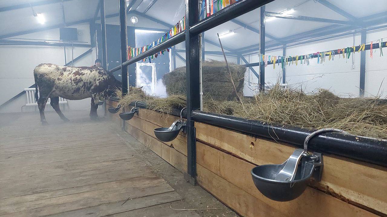 Тыа хааайыстыбатыгар Чыамайыкы нэилиэгэр толору хааччыллыылаах дьоус пиэрмэ лэтин саалаата Тыа хааайыстыбатыгар Чыамайыкы нэилиэгэр толору хааччыллыылаах дьоус пиэрмэ лэтин саалаата