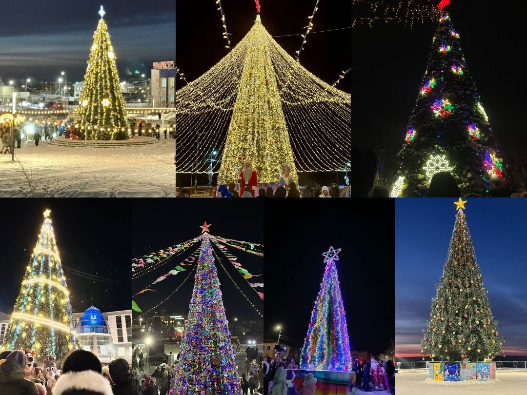 От сияющих снежинок до ярких гирлянд: Как выглядят новогодние елки в районах Якутии