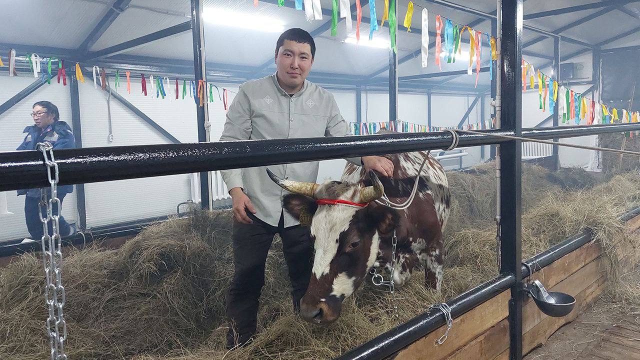 Тыа хааайыстыбатыгар Чыамайыкы нэилиэгэр толору хааччыллыылаах дьоус пиэрмэ лэтин саалаата Тыа хааайыстыбатыгар Чыамайыкы нэилиэгэр толору хааччыллыылаах дьоус пиэрмэ лэтин саалаата