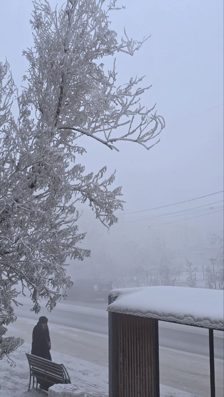 В Якутии водителей и пешеходов предупредили об опасности из-за густого тумана