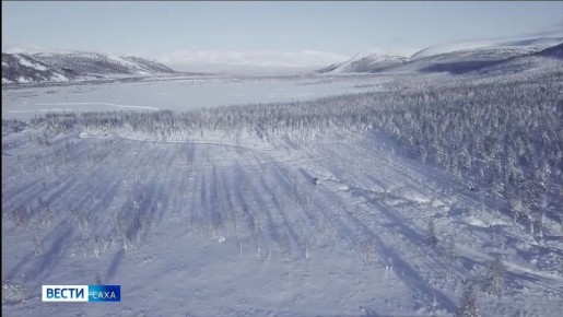 Сегодня в нескольких арктических районах ожидается усиление ветра и метели