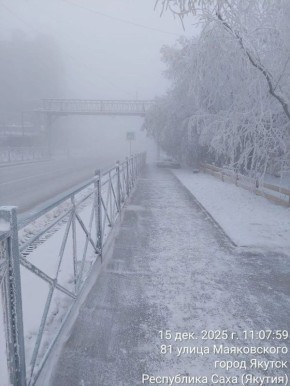 Сегодня наши дворники выполнили очередной комплекс работ по благоустройству территории Сайсарского округа: