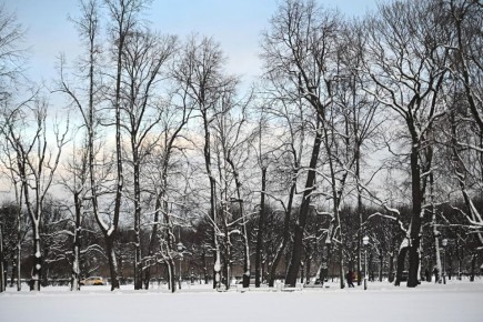 Доброе утро, Якутия!. Сегодня в столице слабый снег, туман, ветер юго-западный 1-4 метра в секунду