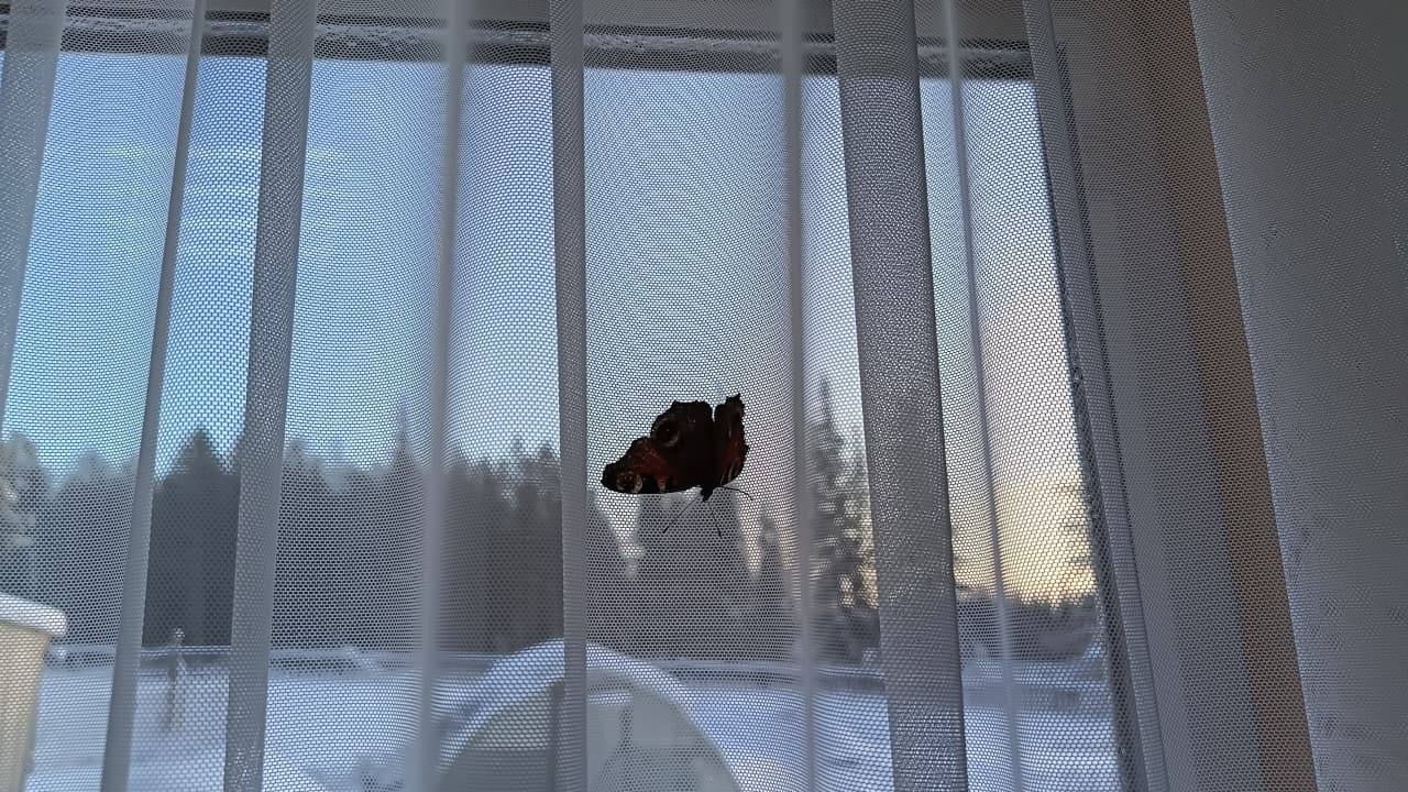 Последние дни в Олекминском районе градусники показывают температуру ниже -40 Последние дни в Олекминском районе градусники показывают температуру ниже -40