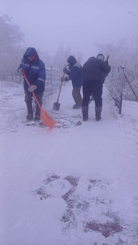 ������ ������������� ��������� �� ������ ������������ ����������