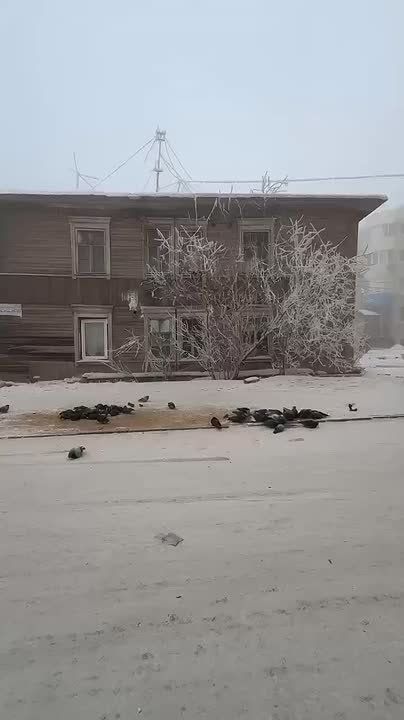 #����� ������ ������ �������� � ������