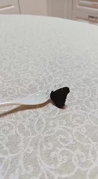 Последние дни в Олекминском районе градусники показывают температуру ниже -40