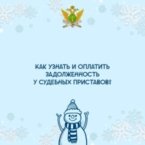 Информация о долгах ФССП: как проверить, оплатить и связаться с приставами