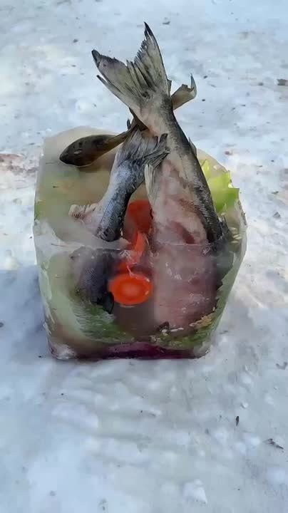 ����� ������� ����� ������� ���������� � ������� ������������