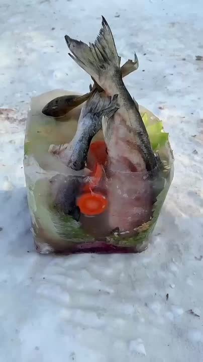 Белый медведь Алмаз отметил шестилетие в зоосаде «Приамурский»