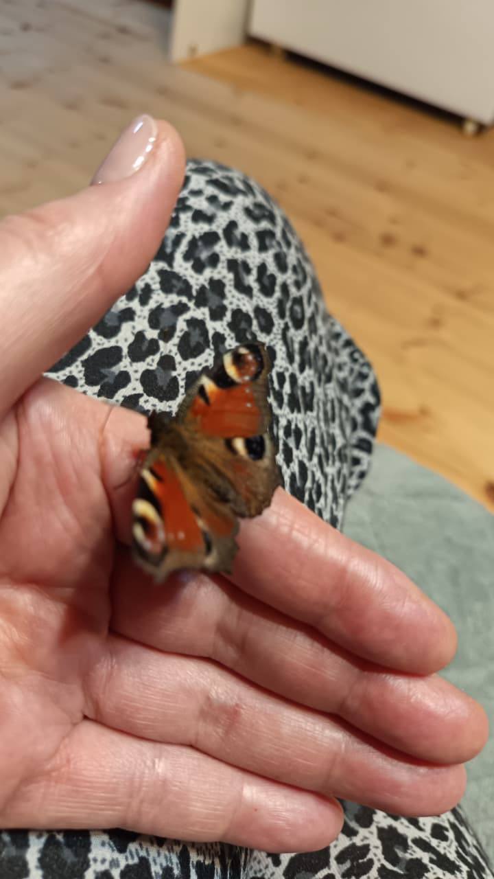 Последние дни в Олекминском районе градусники показывают температуру ниже -40 Последние дни в Олекминском районе градусники показывают температуру ниже -40