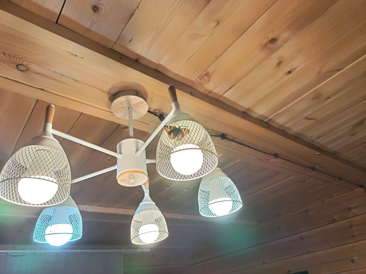 Последние дни в Олекминском районе градусники показывают температуру ниже -40 Последние дни в Олекминском районе градусники показывают температуру ниже -40