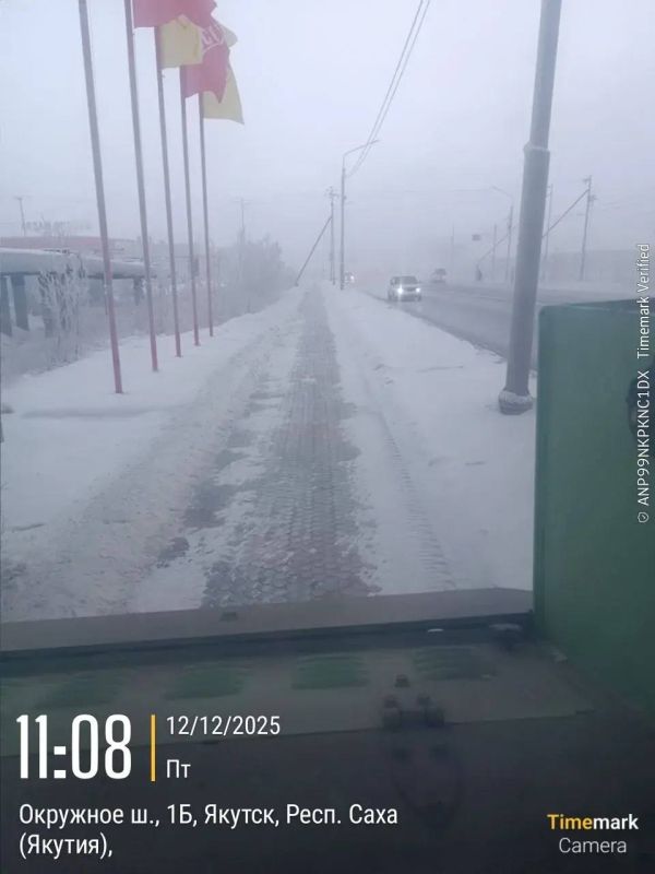 ��������� ������ ������������ ������ �������� ������ �� ������ ���������, ������ ������� �� ������ �������������, ����������, ��������, ���������� 50 ��� ������� � ������-�������� �����