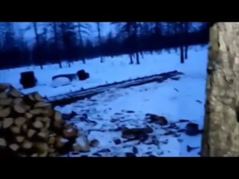 �������� ������� � ���� ��������� ���������������� ����� �������������� ��������� �������� ���������