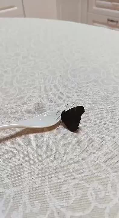 #��������: �������� ������� � ����������� ������