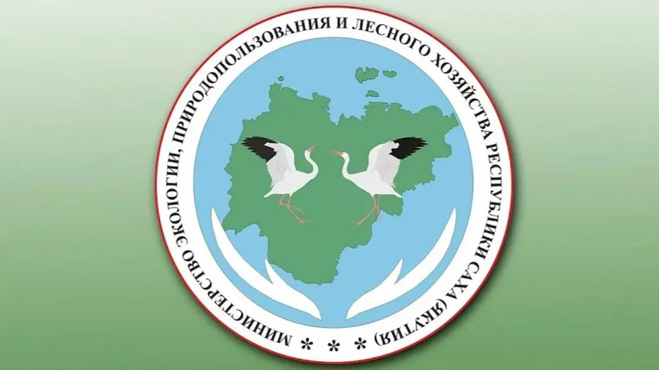 � 17 �� 19 ������� � ������� ���������� ������������ �������� ��������� ������������ ��������, ������������������ � ������� ��������� ���������� ���� (������)