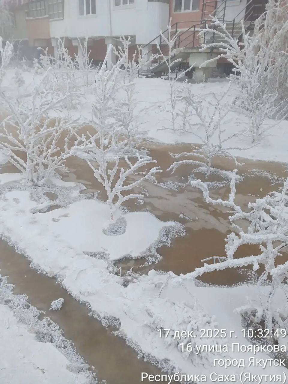 В ходе мониторинга территории округа специалистами Управы выявлено образование наледи по причине аварийной ситуации на канализационной сети дома 43 по ул. Курашова В ходе мониторинга территории округа специалистами Управы выявлено образование наледи по причине аварийной ситуации на канализационной сети дома 43 по ул. Курашова