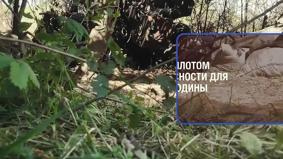 �������� �������� ���������� ��� �������