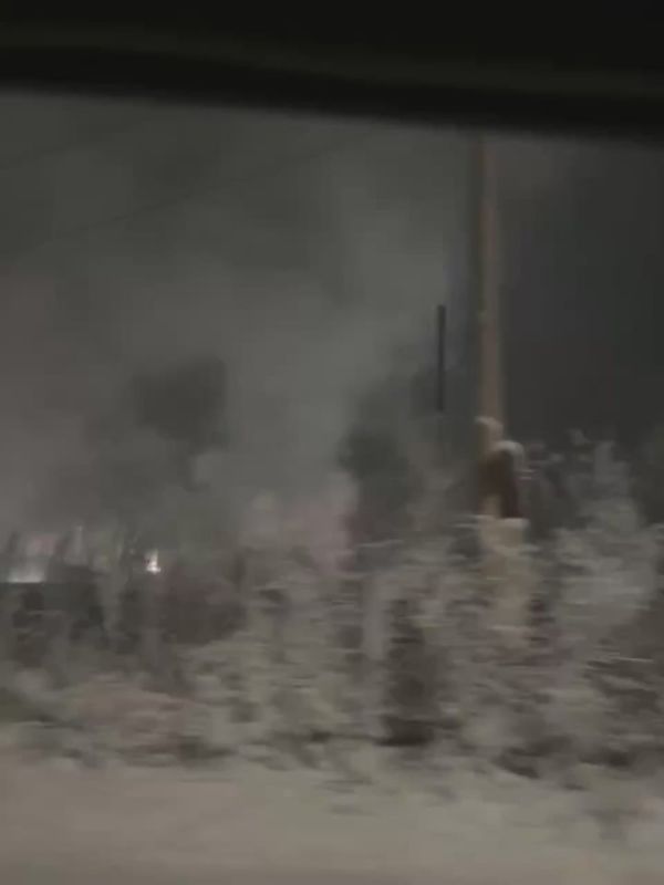 #����� ������������� �� ����� ���� ����� ����� ���������