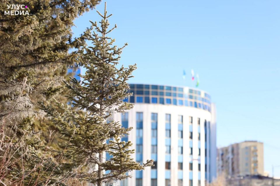 204 ���������� � ������� �������� ����������� ��������� ��� ���� ���������