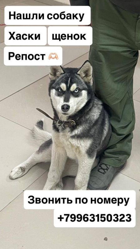 �� ������ ����� 1 ����������� �� �������� ������ ��� ��������