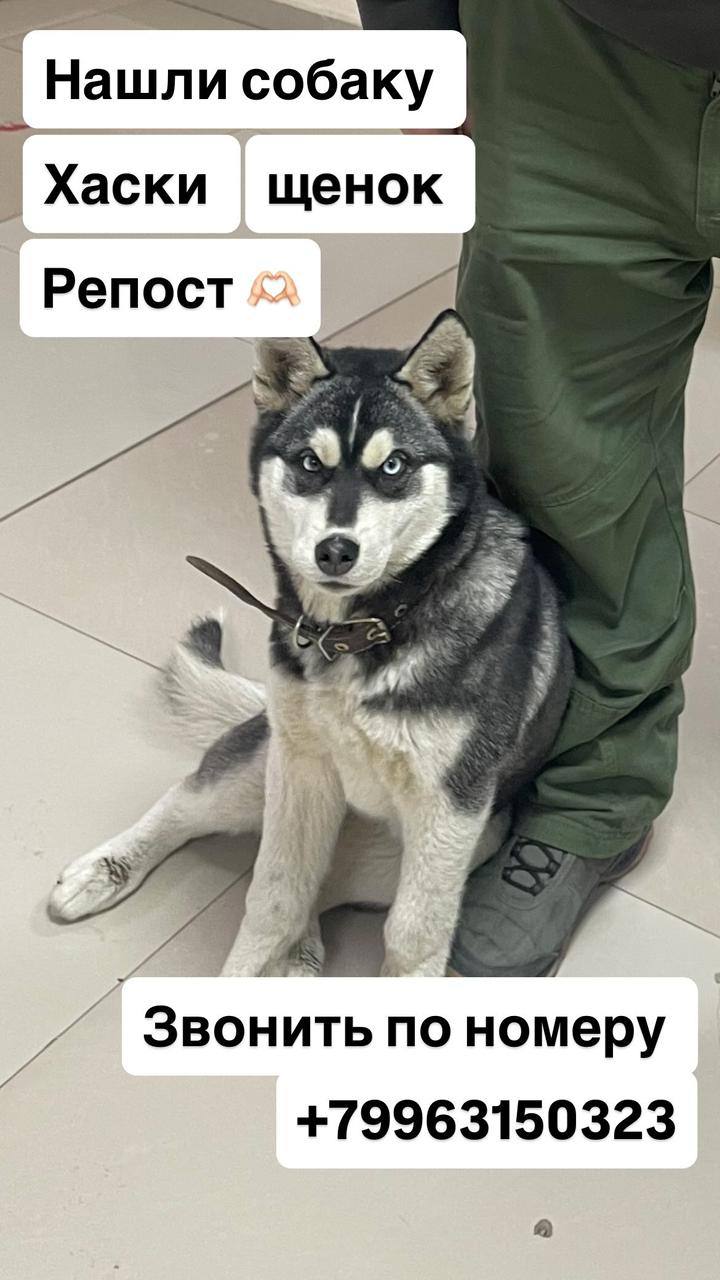 На Кирова возле 1 поликлиники не работает кнопка для перехода