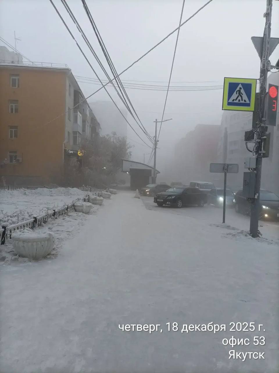 Ежедневная работа муниципальных дворников Ежедневная работа муниципальных дворников