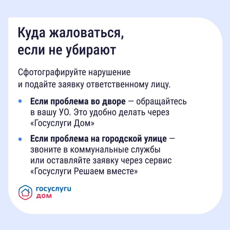 ��������� �������, ������� � �����: ��� ������ � ����� ���� ���������