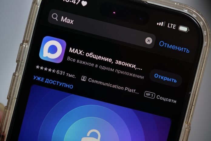 Подтвердить льготы многодетной семьи можно через приложение МАХ